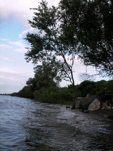 f0084561_1338217.jpg