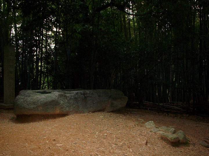 b0032167_1795865.jpg
