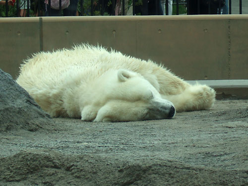 b0048571_0544646.jpg