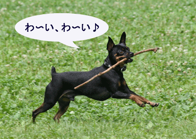 c0012571_12152792.gif