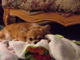 f0052071_8362531.jpg