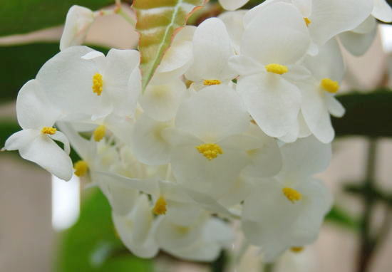 c0094572_7302070.jpg