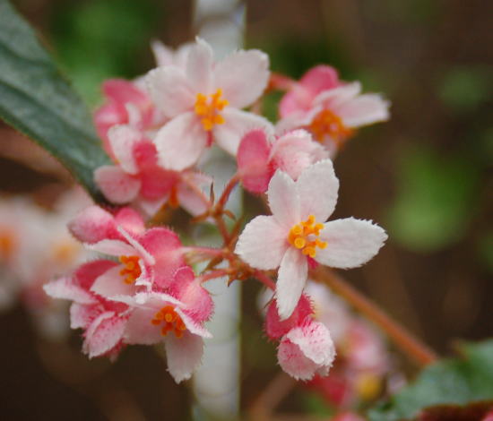 c0094572_7342531.jpg