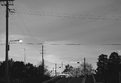d0093573_16451220.jpg