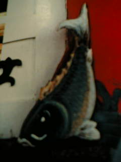 f0100480_9211016.jpg
