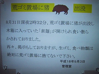 b0073782_21205354.jpg