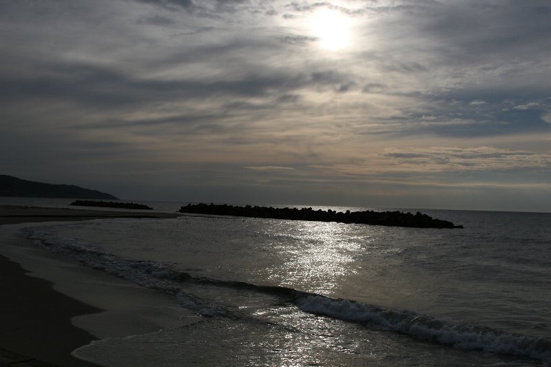 a0076683_991993.jpg
