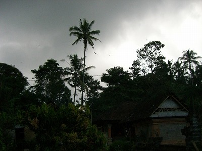 b0101284_231655.jpg