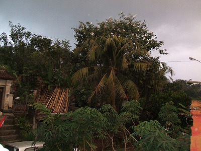 b0101284_2373988.jpg
