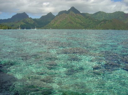 a0008885_11171857.jpg