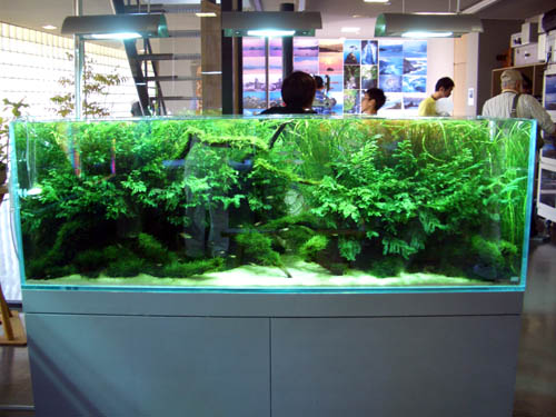 a0049090_2184682.jpg