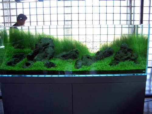 a0049090_219440.jpg