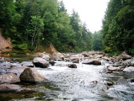 e0035597_17193966.jpg