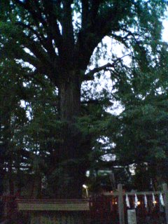 b0075600_9584141.jpg