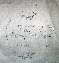 a0074202_17582843.jpg