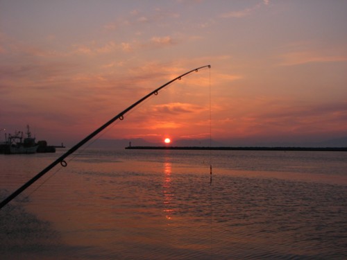 f0020302_2147689.jpg