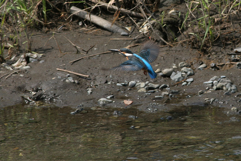 f0095702_16475145.jpg