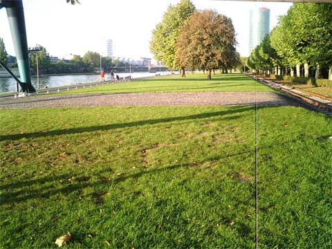 f0036603_226189.jpg