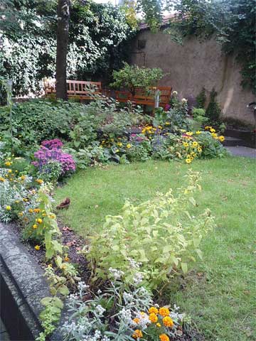 f0036603_2334627.jpg