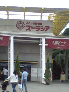 d0077410_19422540.jpg