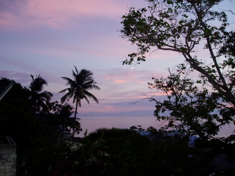 a0000014_191518.jpg