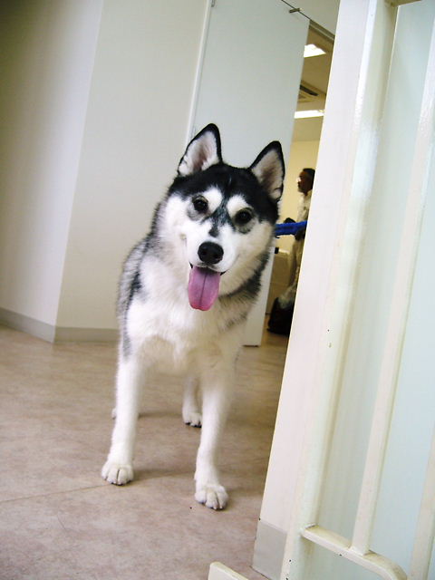 f0079723_12171445.jpg