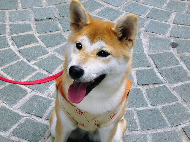 f0079723_13203889.jpg