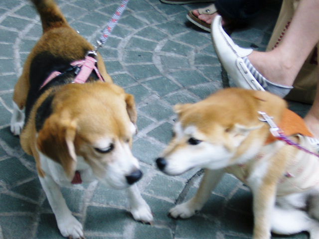 f0079723_13351298.jpg