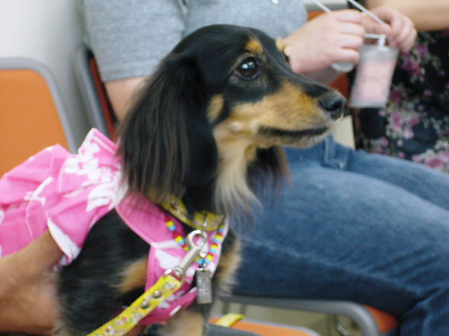 f0079723_13494729.jpg