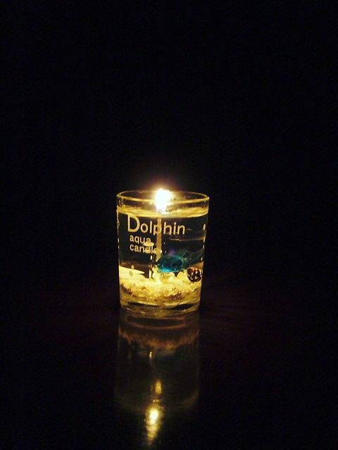 f0079723_20252235.jpg