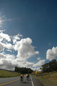 d0023725_3325368.jpg