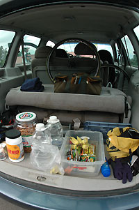 d0023725_3331350.jpg