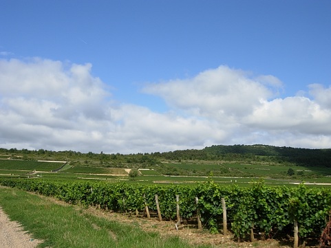 f0095128_5135634.jpg
