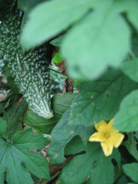 b0088037_92027.jpg