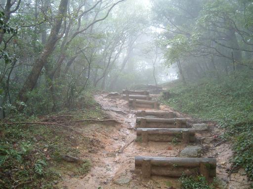 c0077338_1812846.jpg