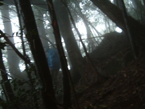 c0077338_188236.jpg