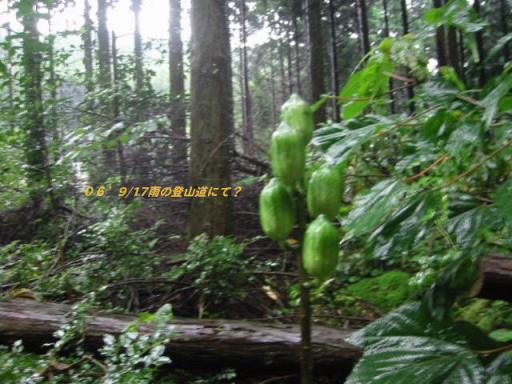 c0077338_23102875.jpg