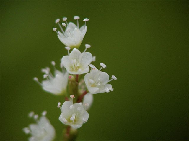 a0027742_15115880.jpg
