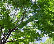 b0091248_23282958.jpg