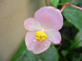 c0069048_612252.jpg