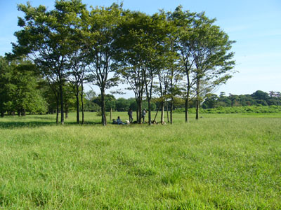 b0045357_4564778.jpg