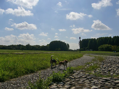 b0045357_563013.jpg