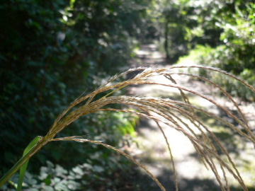 a0063364_23123614.jpg