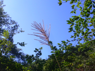 a0063364_23125990.jpg