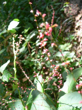 a0063364_23144690.jpg