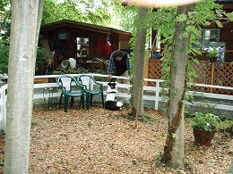 b0003270_22762.jpg