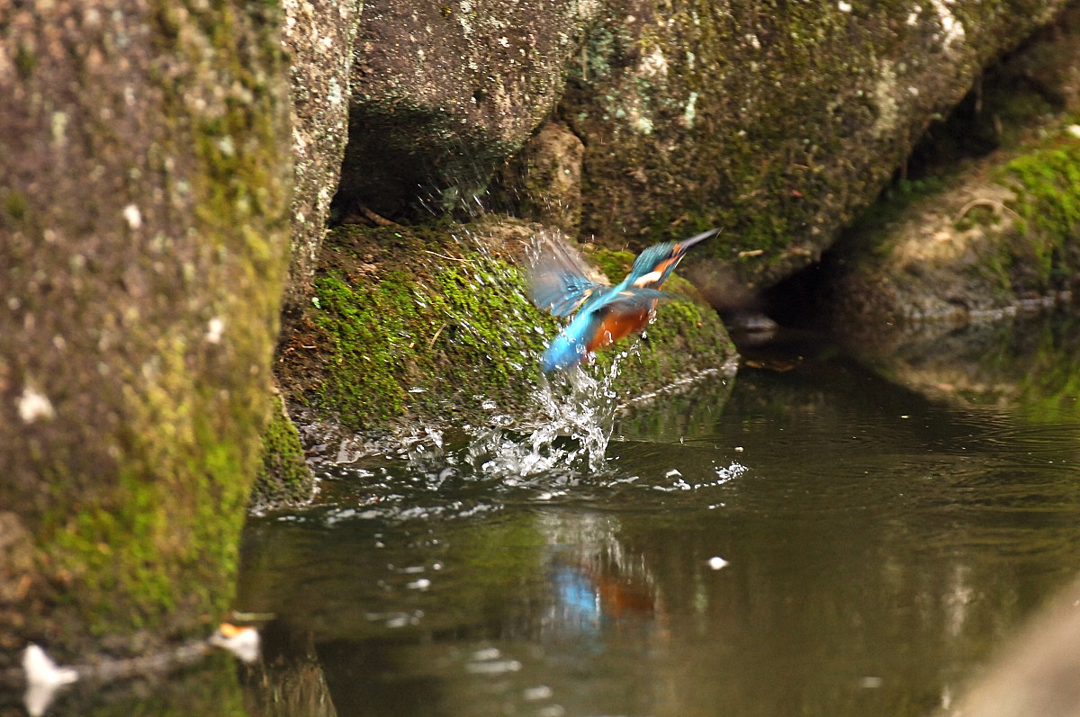 c0069178_183991.jpg