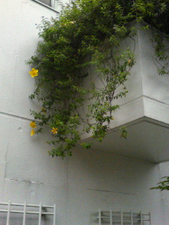 f0089079_0133039.jpg
