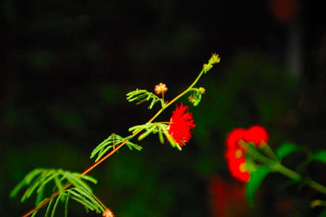 b0102780_10514282.jpg