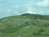 f0015381_19124597.jpg